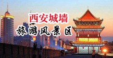 操骚一区二区中国陕西-西安城墙旅游风景区
